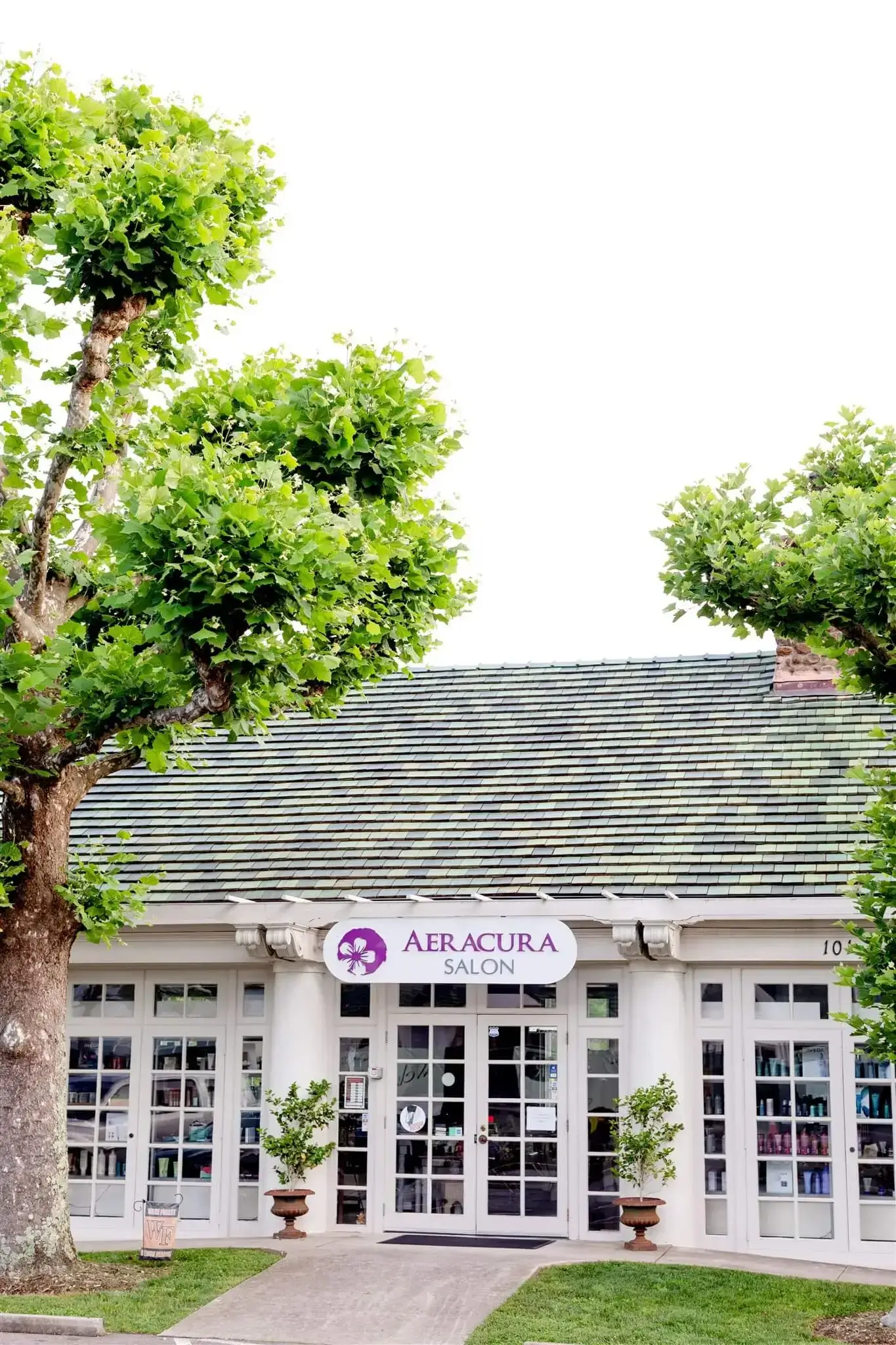 Reynolda Village - Copy of Aeracura 2 - small version - Olinger June 2024