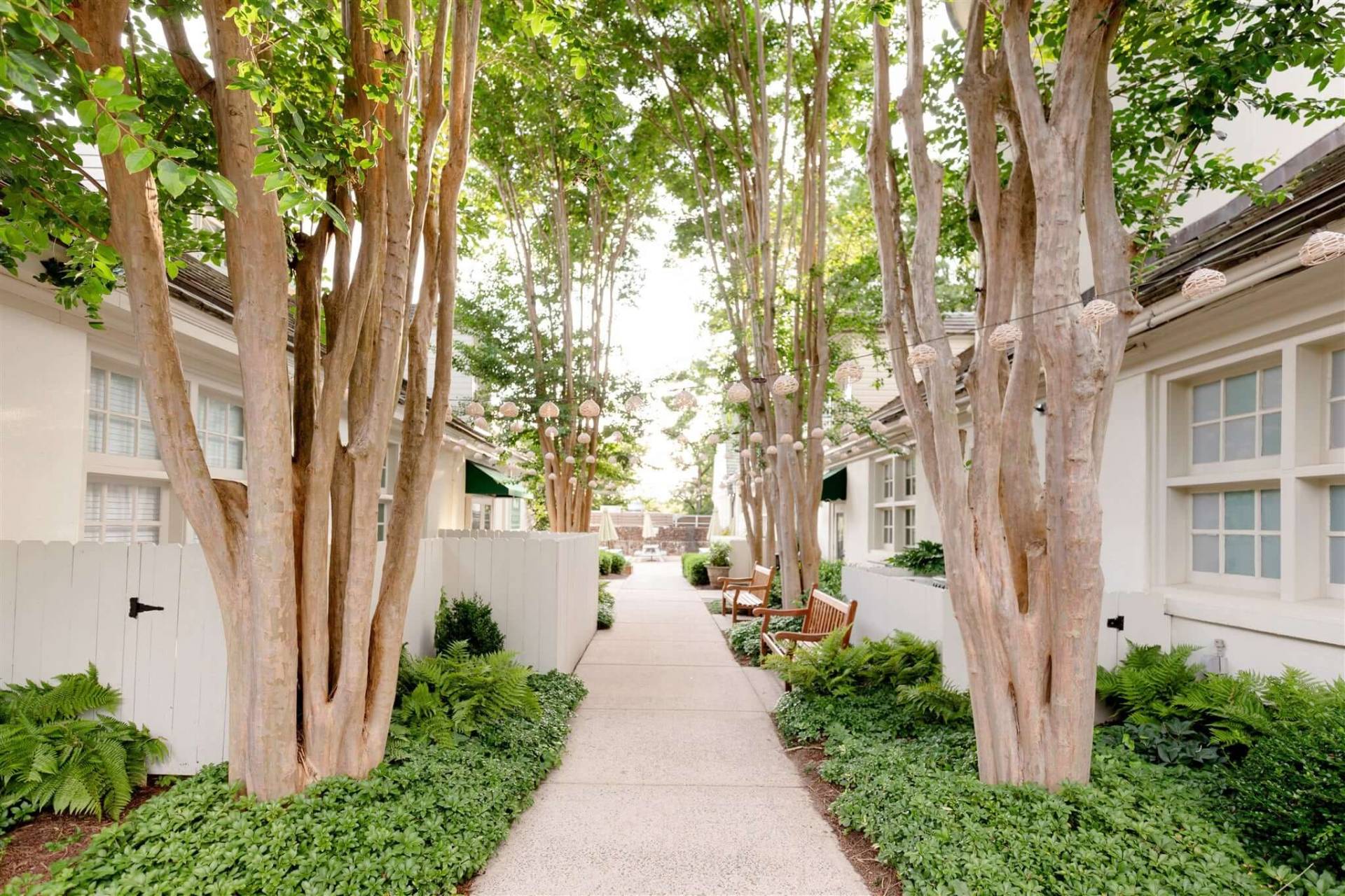 Reynolda Village - Landscape Gallery Image 5
